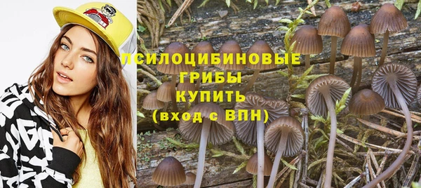экстази Гусиноозёрск